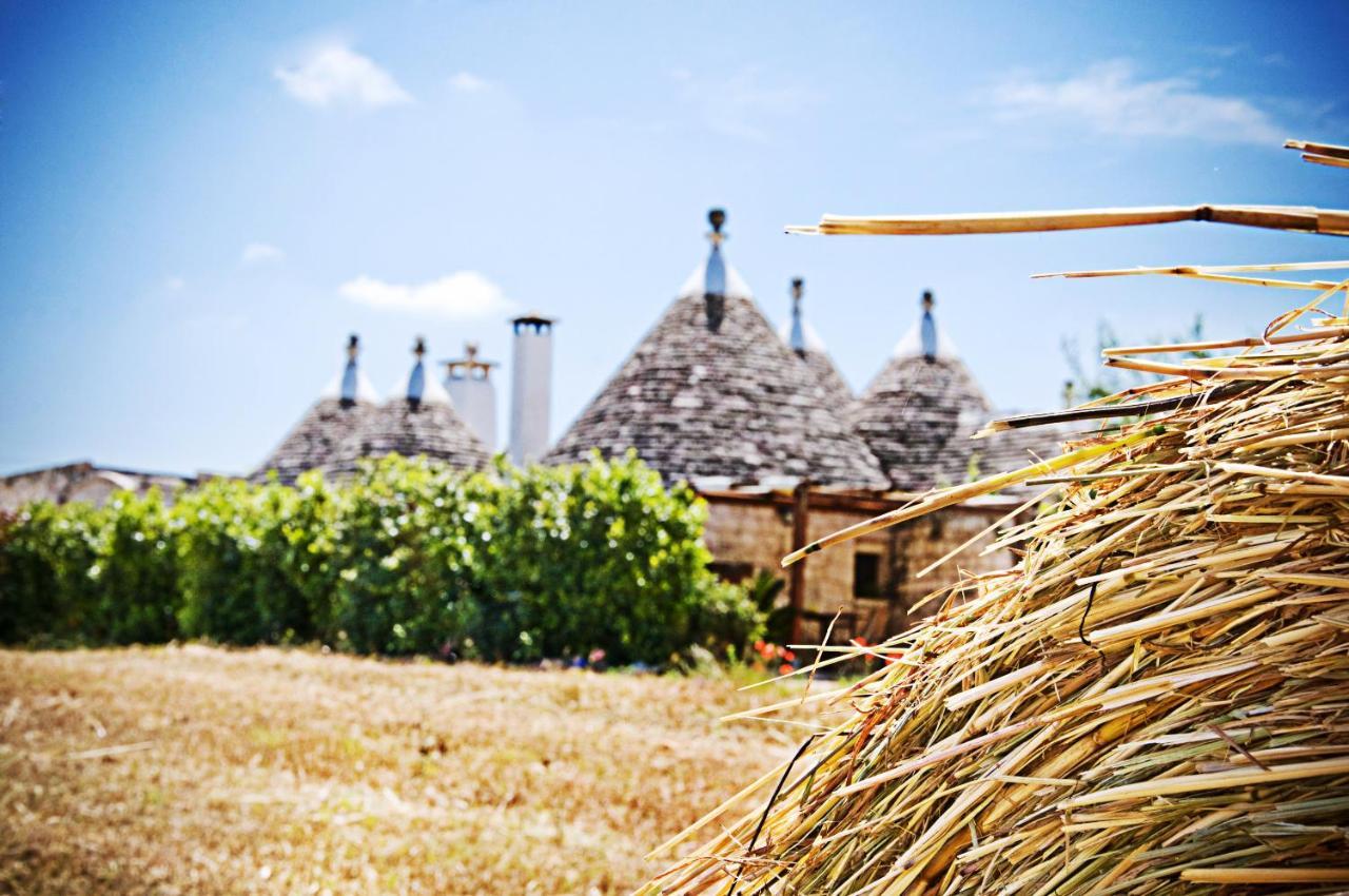 Country house Trulli Il Castagno *