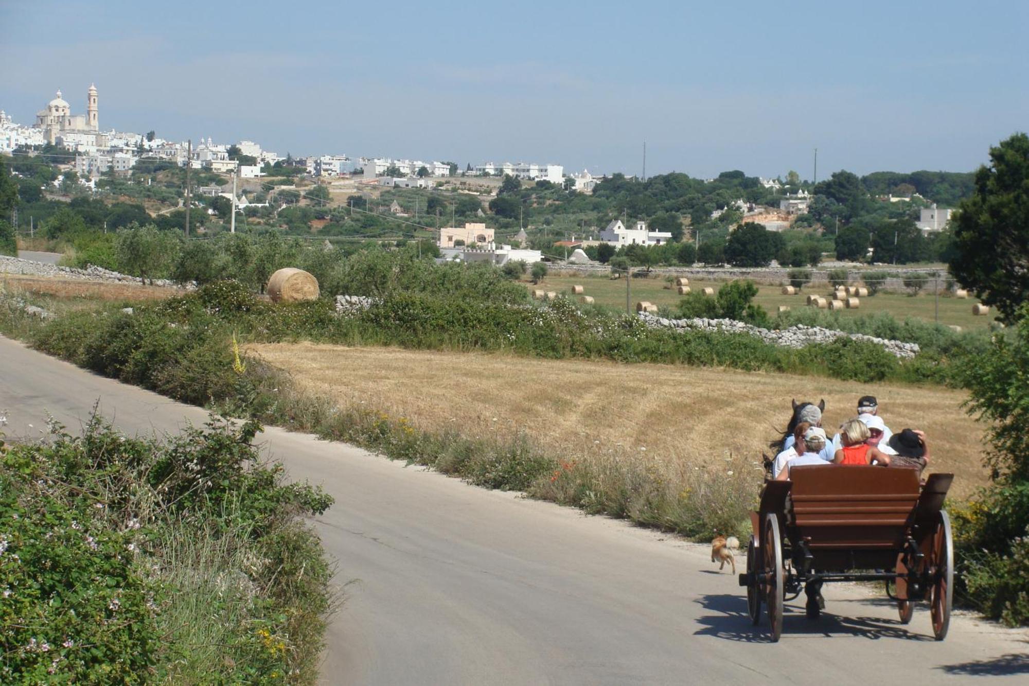 Country house Trulli Il Castagno Martina Franca