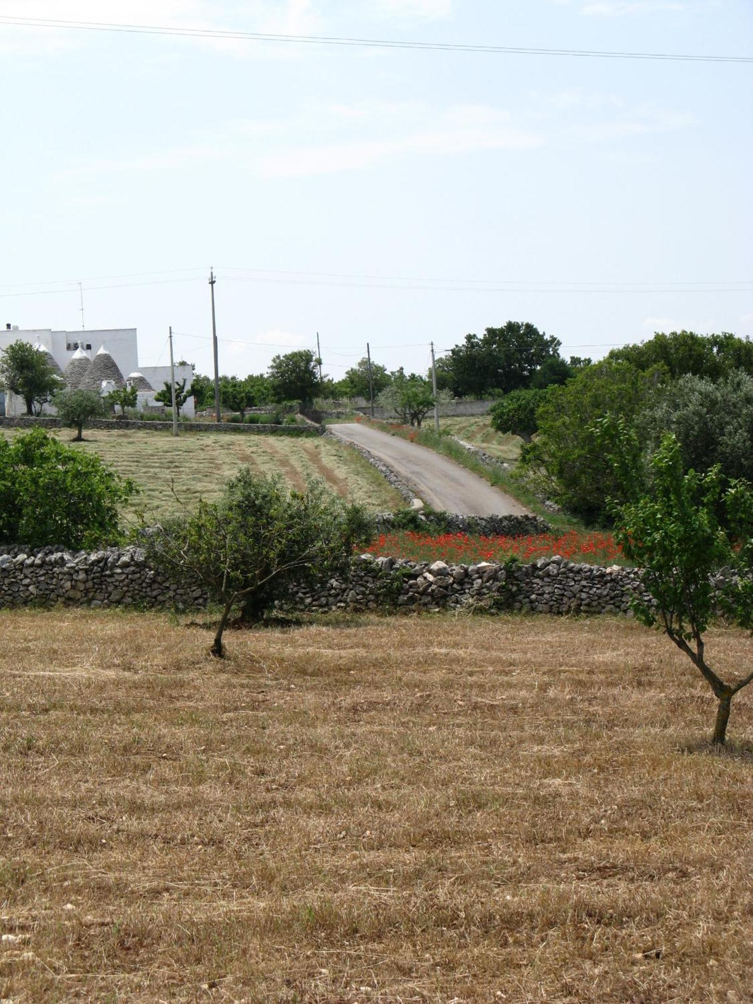 Trulli Il Castagno Martina Franca