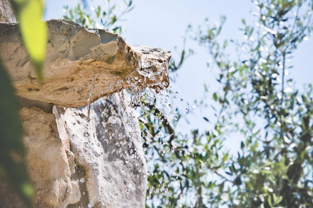 Country house Trulli Il Castagno Martina Franca