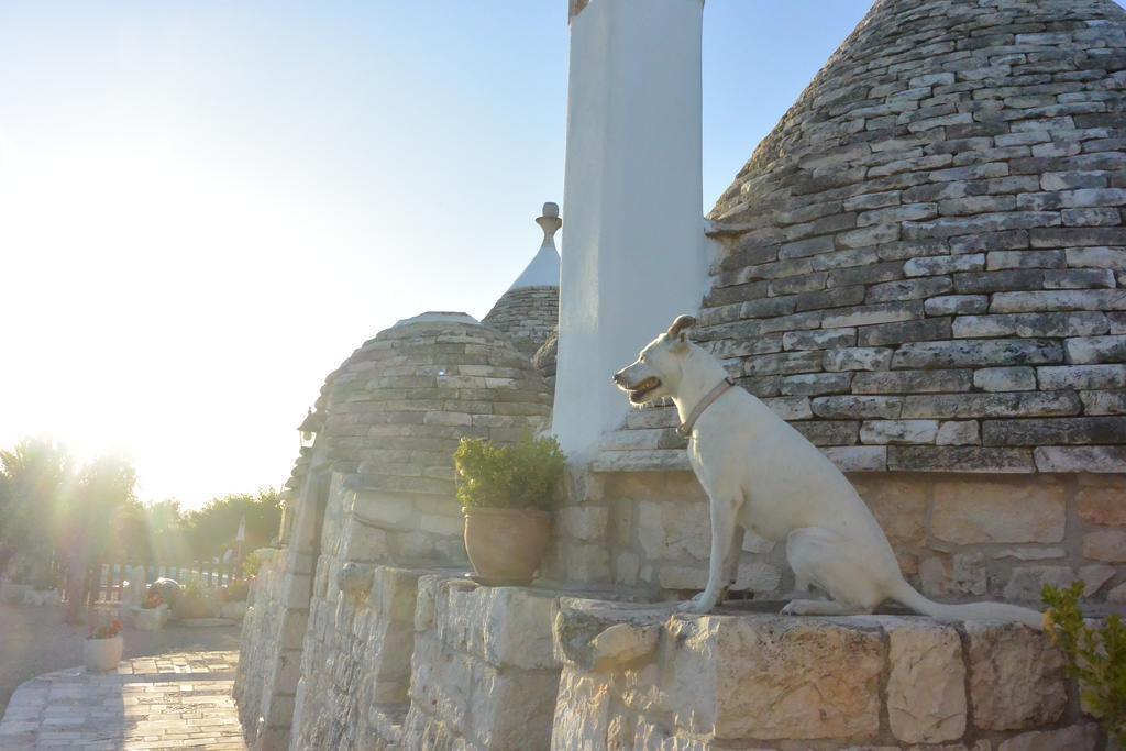 Country house Trulli Il Castagno